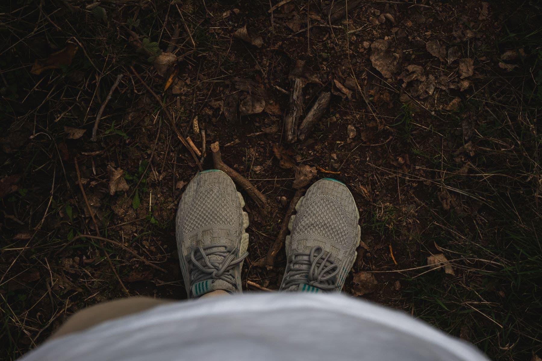 Everyday shoes on a quiet woodland trail